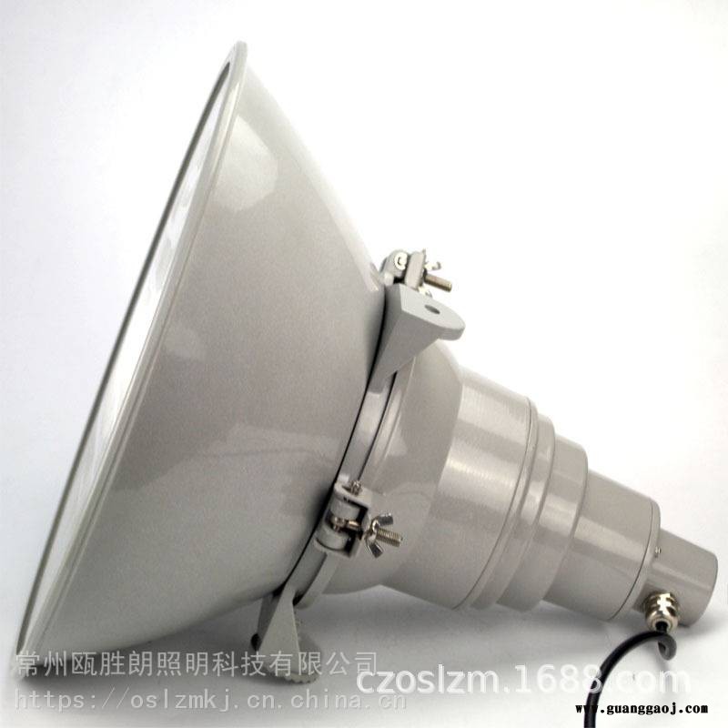 NTC9210防震型投光灯250W船舶码头外场钠灯行车灯NTC9210N400图2