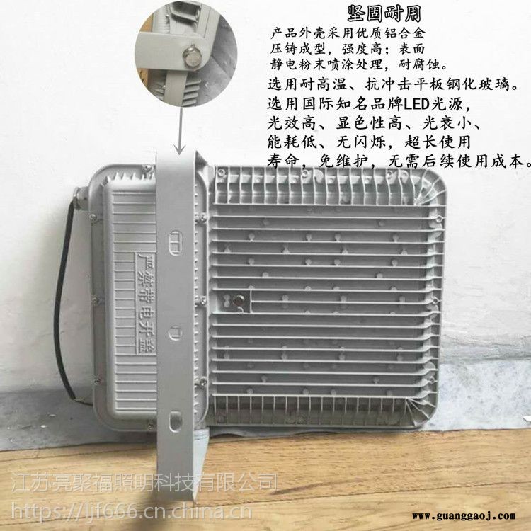 RLEFL319固定式LED防爆投光灯亮聚福壁挂式危化品厂区方形大功率泛光灯图2