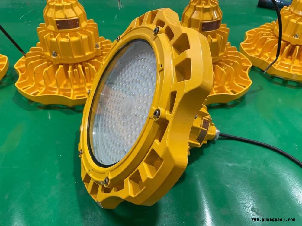 FGV1216 LED免维护节能防爆灯 护栏式 150W防爆泛光灯图2