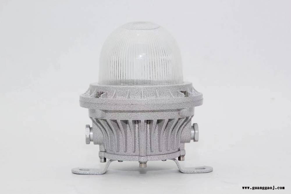 夏浦尔PLY-20 防水防尘防腐防震LED投光灯 PLY-20泛光灯图2