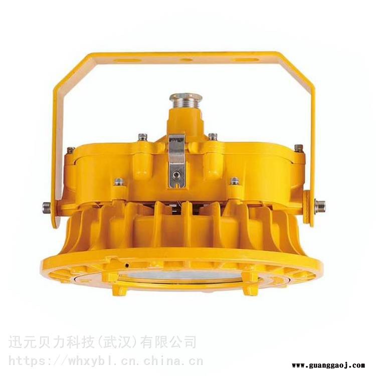 BFC8125-BPC8767-BPC8767外场强光耐高温防爆泛光灯图3