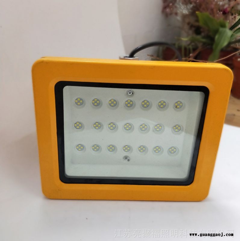 隔爆型LED防爆灯50W仓库厂房加油站化工厂棚顶灯防爆投光泛光灯图3