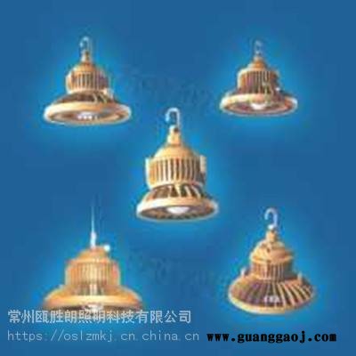 批发102030W防爆泛光灯免维护LED防爆灯防爆 节能灯BRE865图3