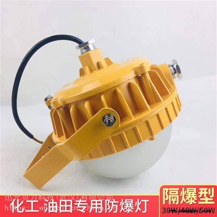BPC8766-80W水泥车间防爆泛光灯-BPC8766-100W喷涂车间防爆投光灯图1