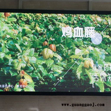 led显示屏 户外显示屏 全彩显示屏 室内显示屏图4