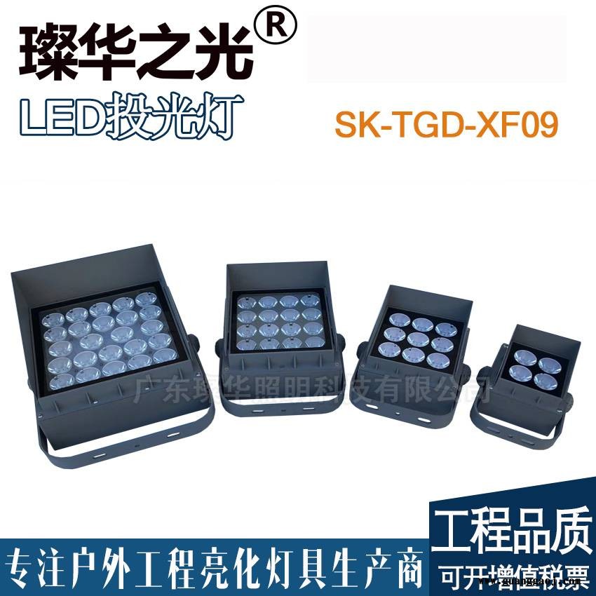 璨华照明SK-TGD-XF09 LED方形投射灯户外小角度格栅投光灯图3