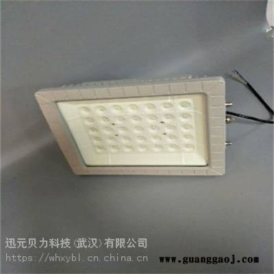 ZBD112-100W储备库支架式防爆投光灯图3