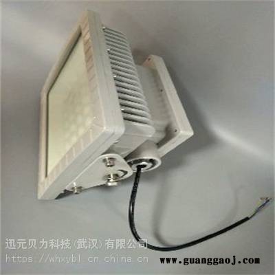 ZBD112-100W储备库支架式防爆投光灯图2