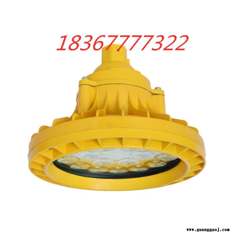 led防爆灯厂房100W瓦200W400W投光灯加油站低压24V36V船用隧道灯图2