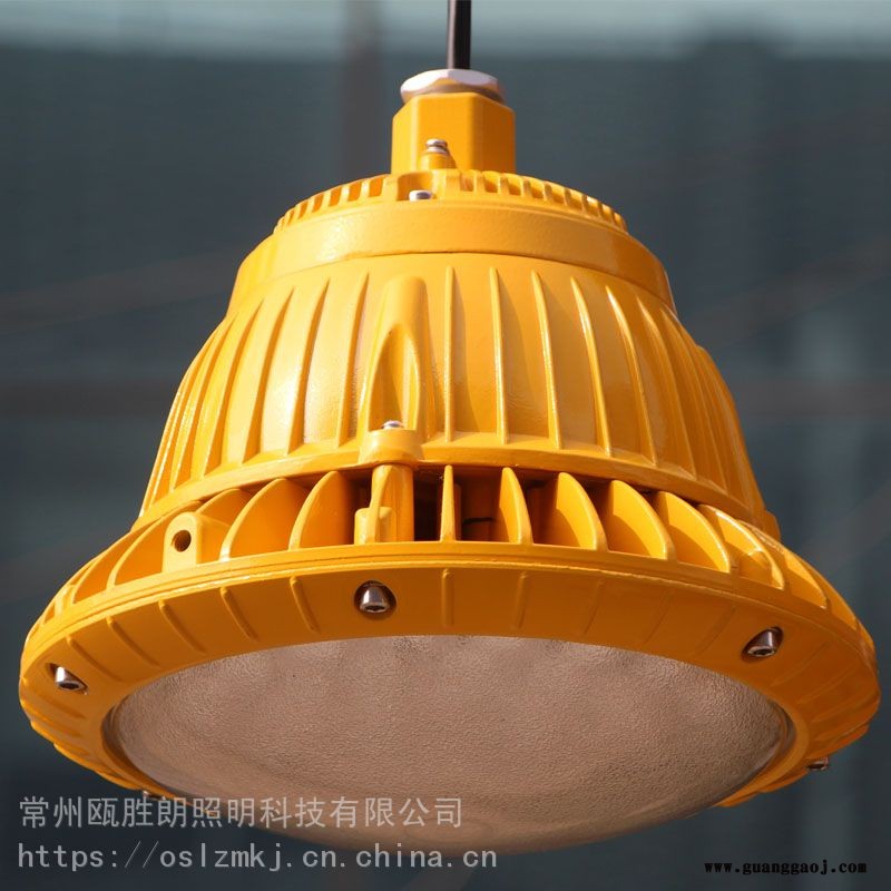 BAD85M 节能灯油站灯仓库灯路灯LED防爆投光灯防水防腐泛光灯厂家图2