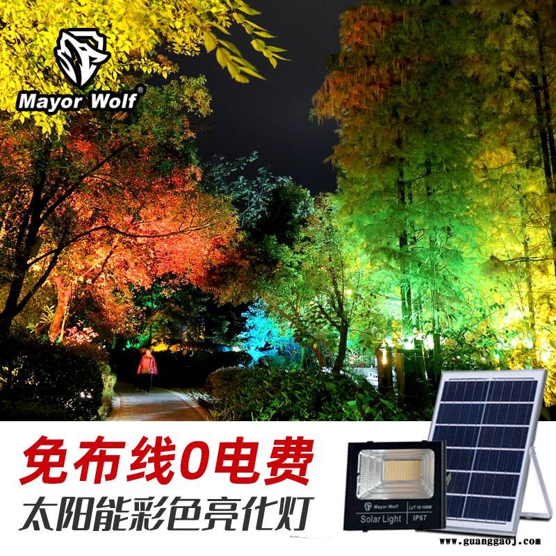 太阳能路灯100W彩色投光灯公园景观草坪泛光灯园林射灯图3