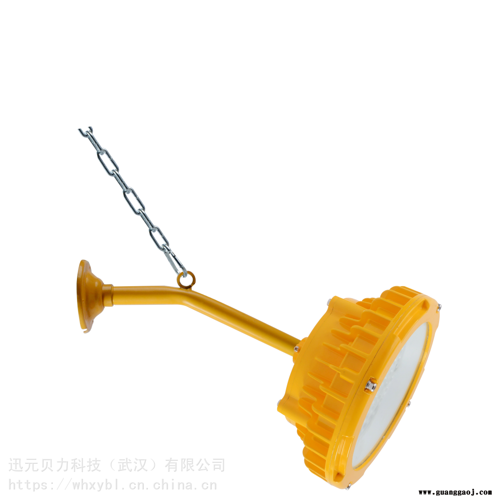 FGA1202-50W支架式粮油仓库防爆泛光灯-FGA1202-100W吊杆式油库防爆照明灯图3