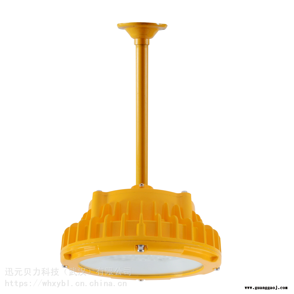 FGA1202-50W支架式粮油仓库防爆泛光灯-FGA1202-100W吊杆式油库防爆照明灯图1