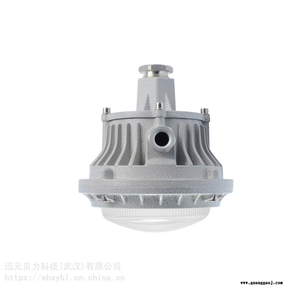 BLED9113-30W隔爆支架式吸顶防爆泛光灯BLED9113图2