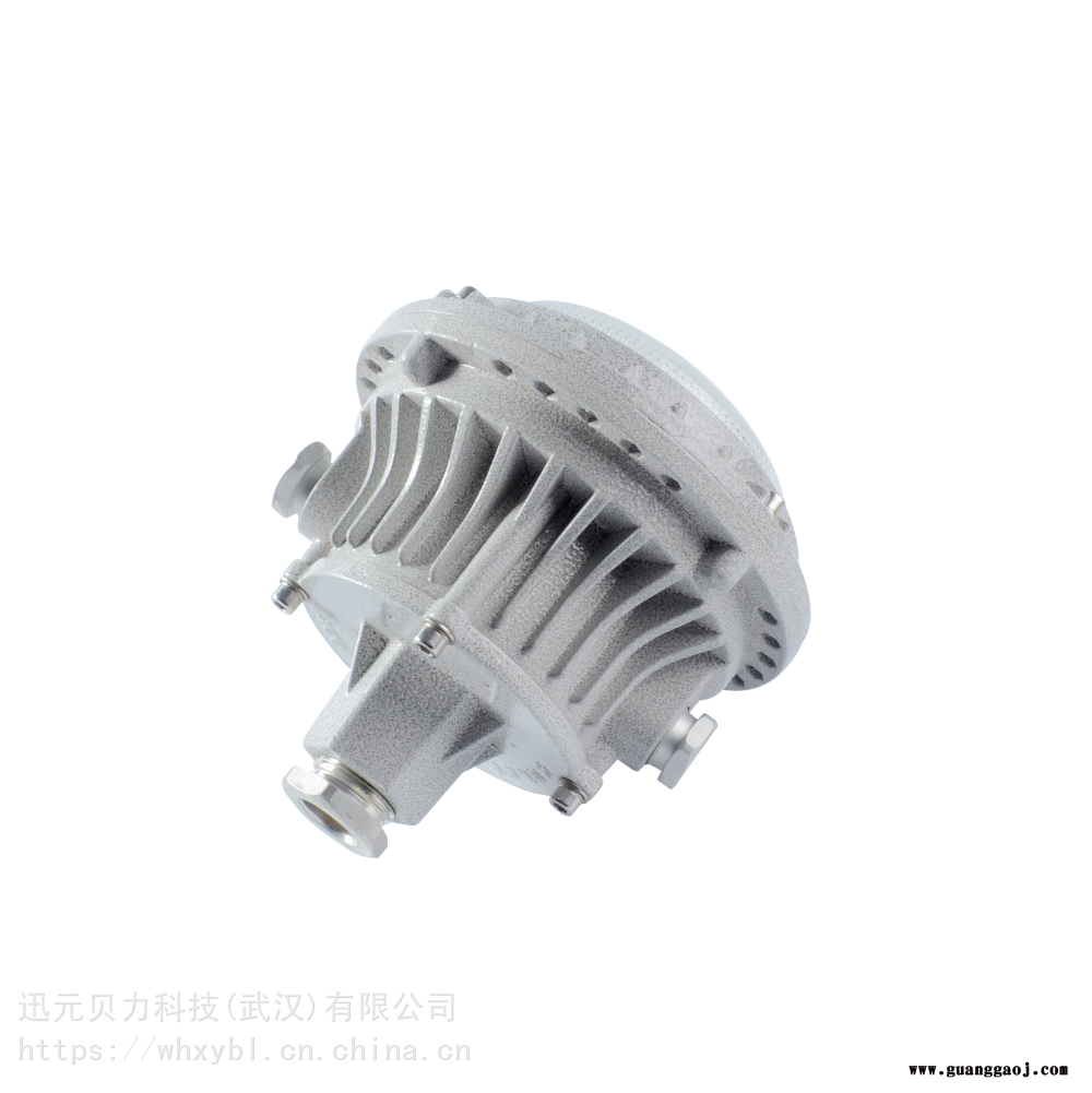 BLED9113-30W隔爆支架式吸顶防爆泛光灯BLED9113图3