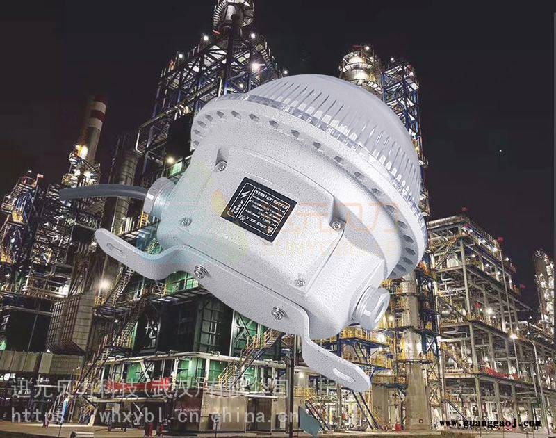 BLD8183防爆泛光灯-BLD8183防爆投光灯-BLD8183支架式应急灯图3