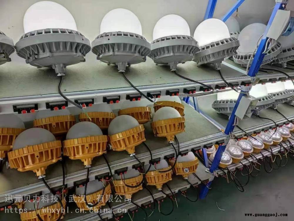 供应护栏式BAD63A-150W防爆泛光灯图2