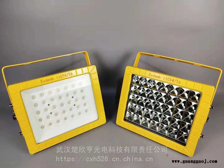 库防爆灯100WLED防爆投光灯70WLED防爆灯图1
