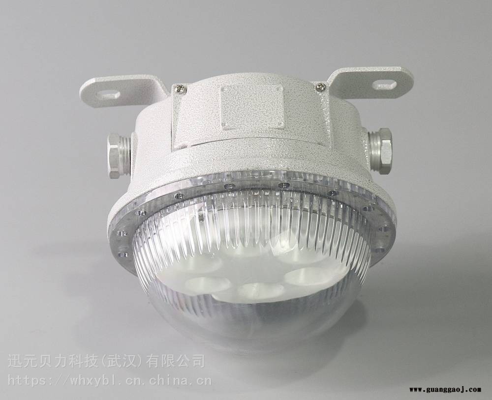 供应廊道EKS920-20W防爆泛光灯EKS920图2