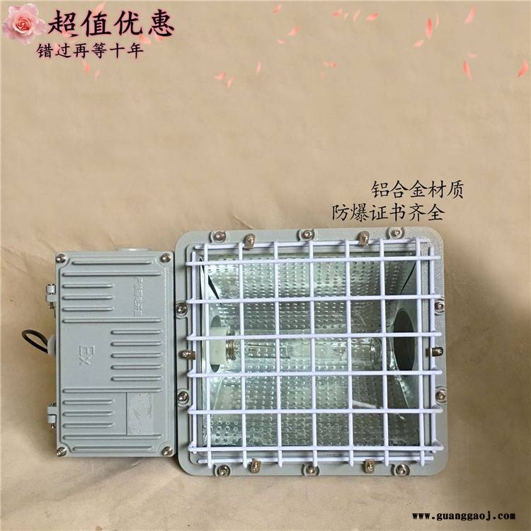 防爆灯 油库钢厂石油防爆投光灯BFC8116A移动照明灯新款图1