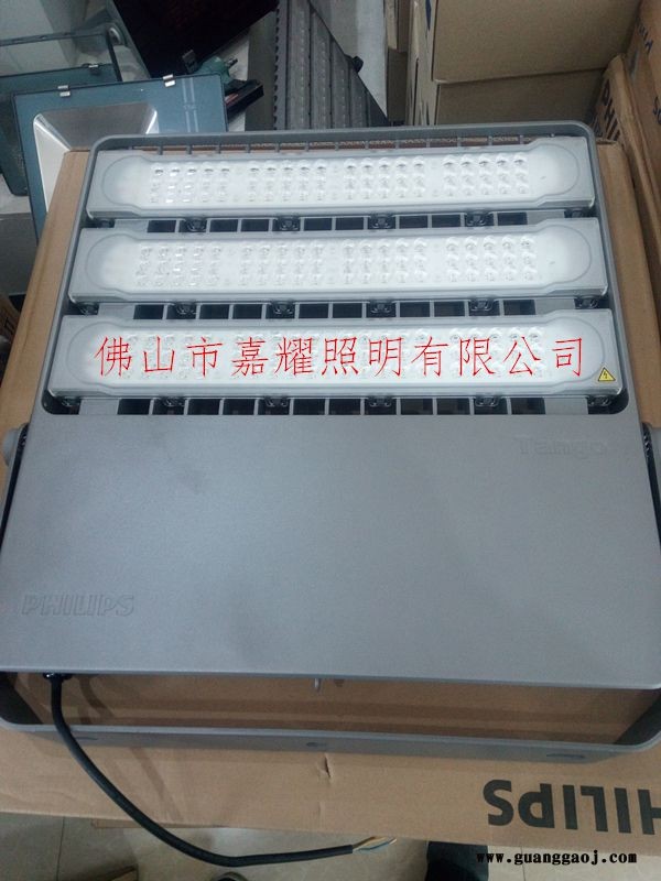 飞利浦BVP381100W户外泛光灯图1