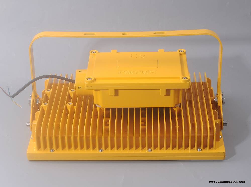 LED防爆泛光灯150W/200W模组式灯具图3