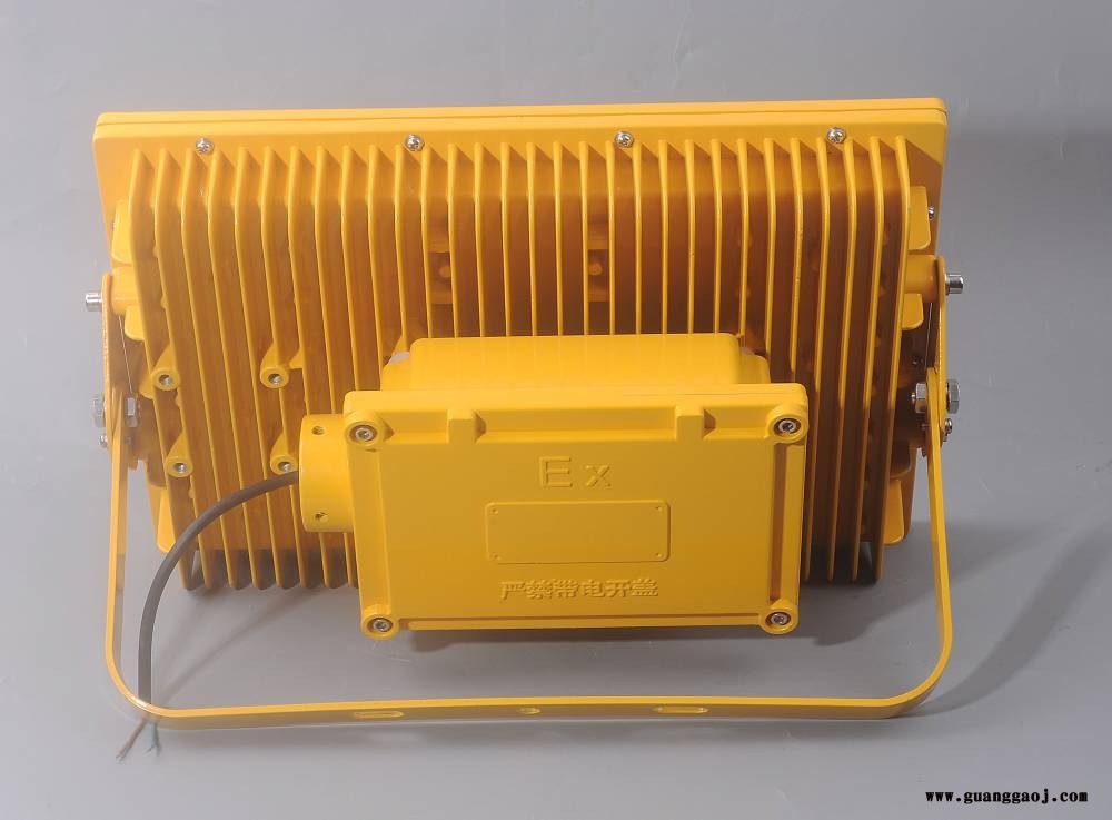 LED防爆泛光灯150W/200W模组式灯具图2