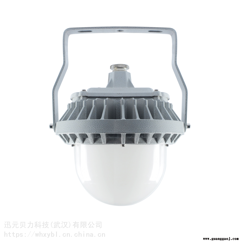 NFC9189照明泛光灯NFC9189-NFC9189三防高顶灯图3
