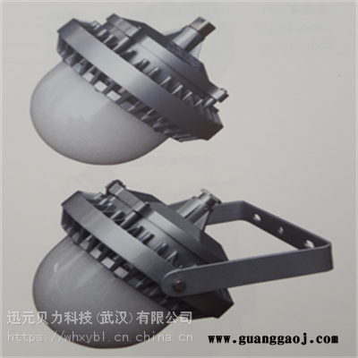 NFC9189照明泛光灯NFC9189-NFC9189三防高顶灯图2