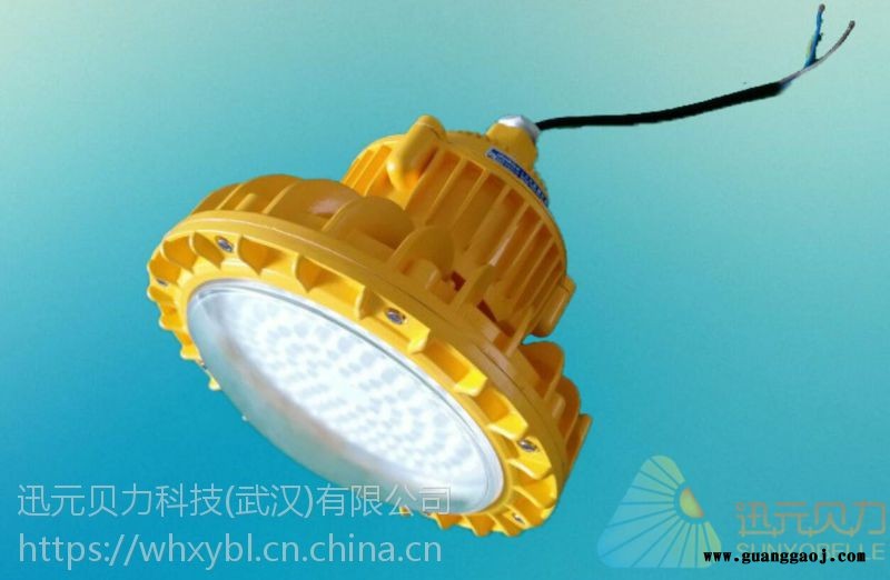 湖北武汉市LED防爆灯LED固态免维护泛光灯图3