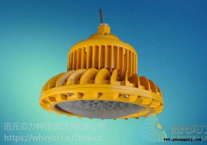湖北武汉市LED防爆灯LED固态免维护泛光灯图2