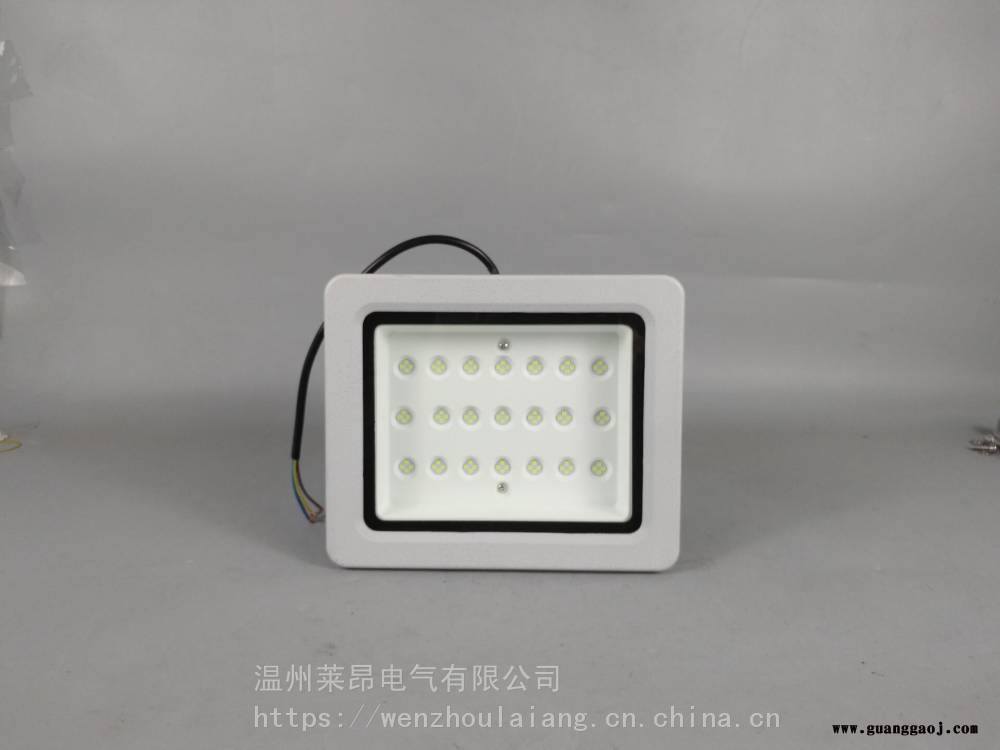 SW8131SW8131防爆LED泛光灯图2