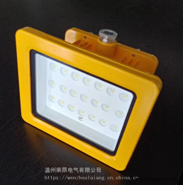 SW8131SW8131防爆LED泛光灯图1