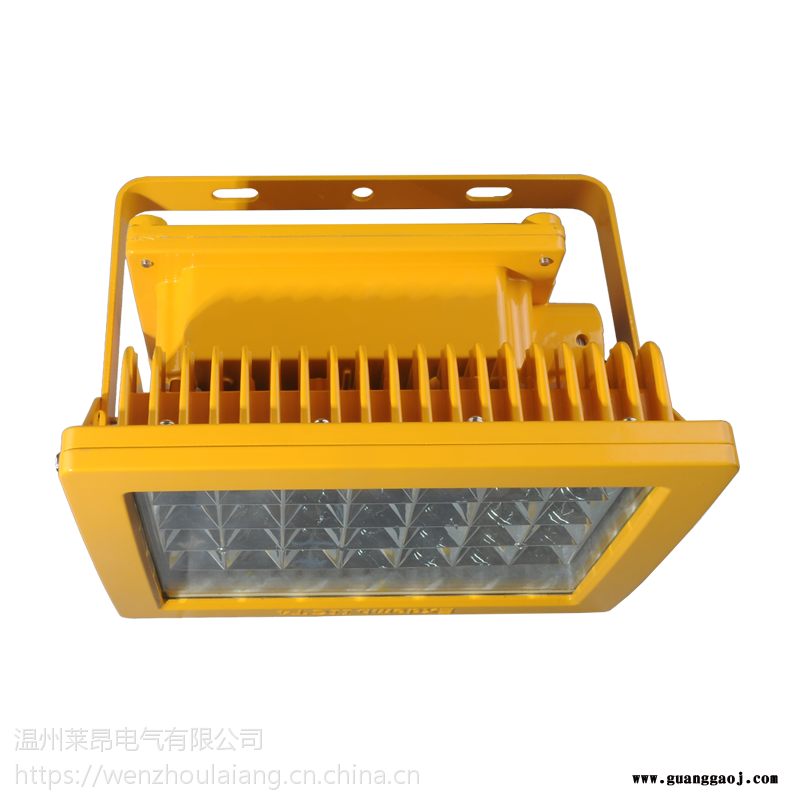 BZD188-2LED防爆灯/BZD188-3防爆免维护LED泛光灯图1