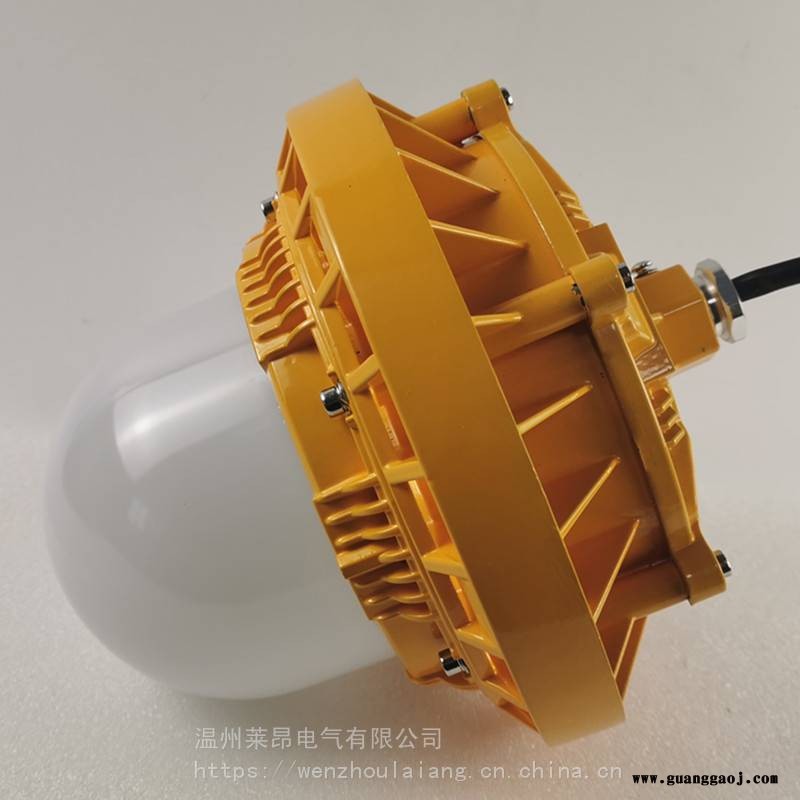 FGV1246LED免维护节能灯防爆泛光灯图3