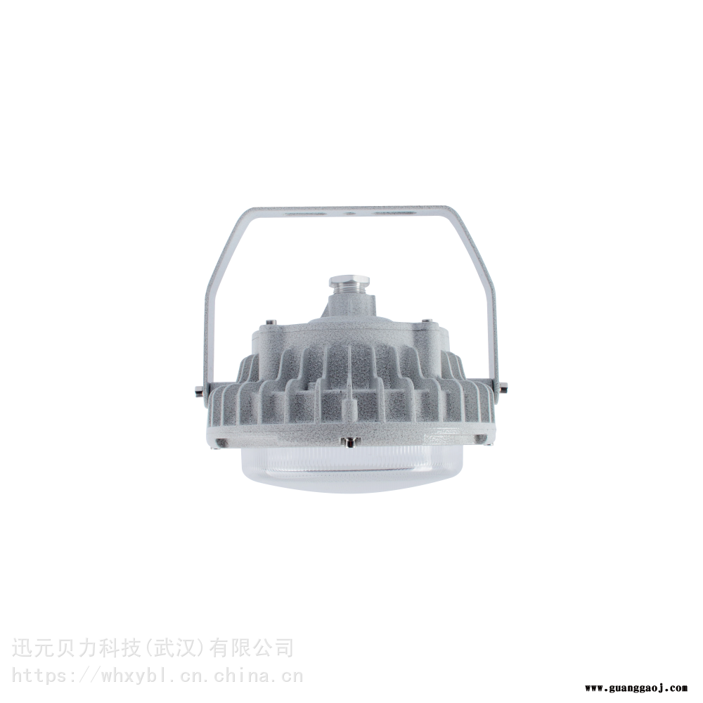 blfb 80W电厂BLD202防爆应急灯-100W水库BLD202防爆泛光灯图3