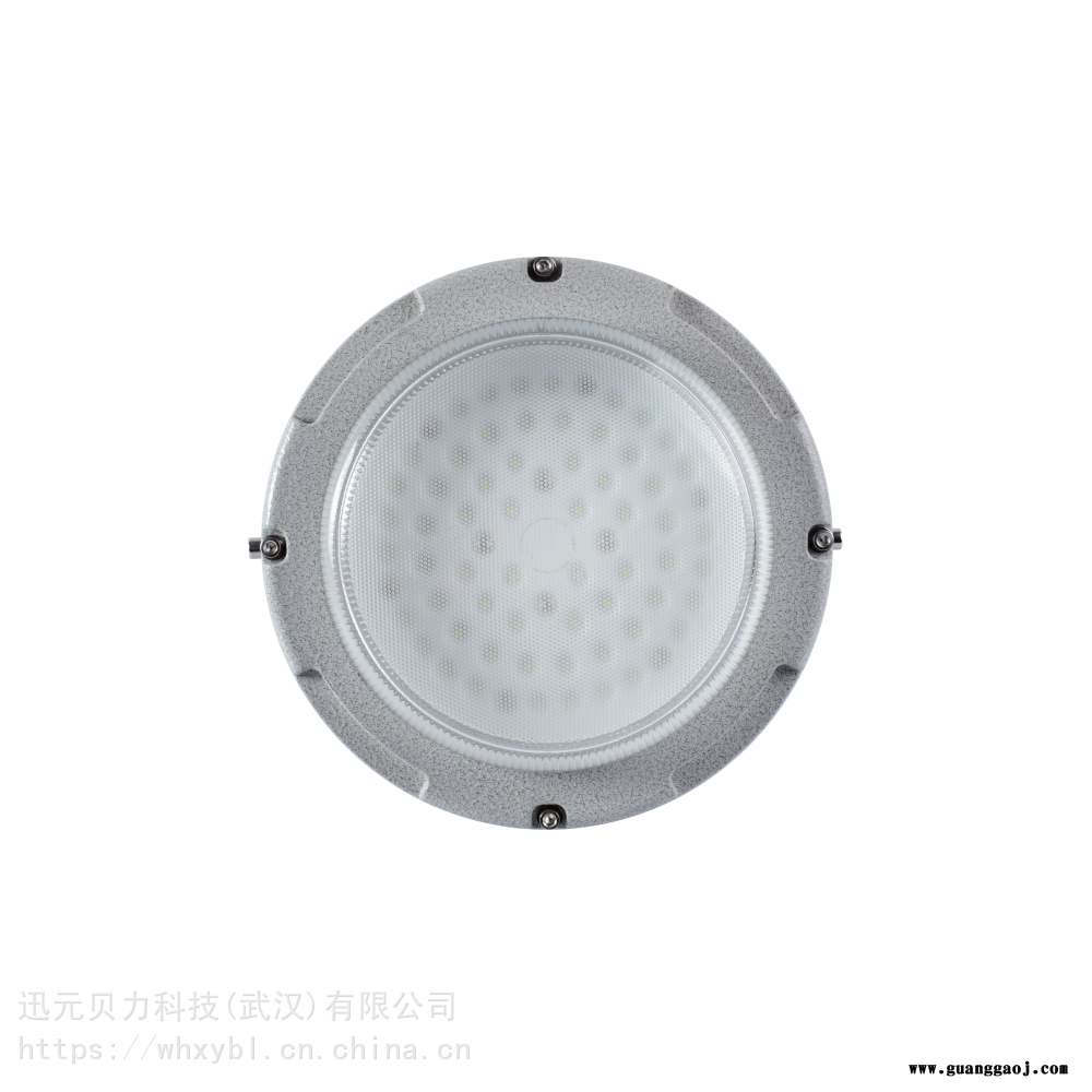 blfb 80W电厂BLD202防爆应急灯-100W水库BLD202防爆泛光灯图2