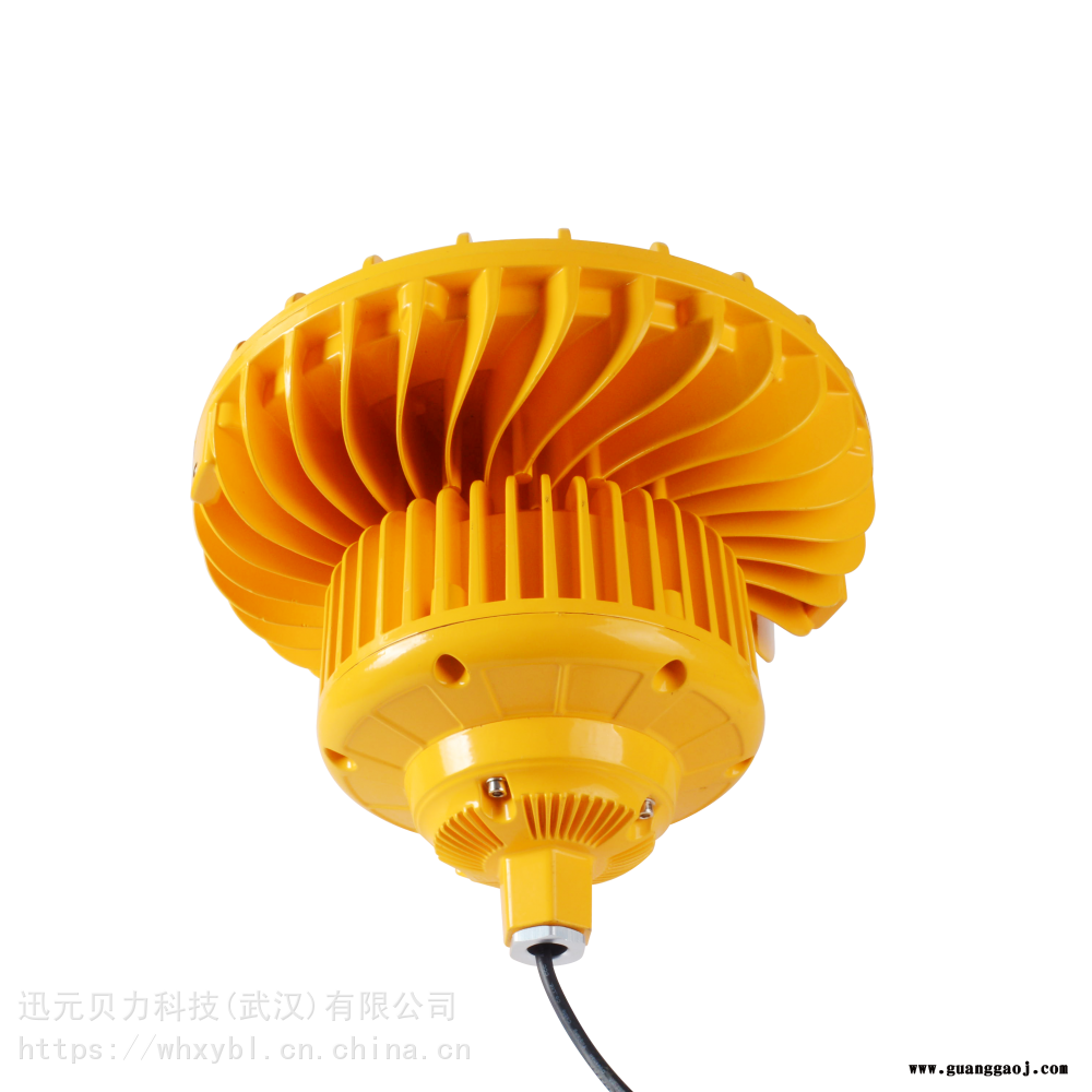 FGQ1205-100W圆形管吊式防爆泛光灯图2