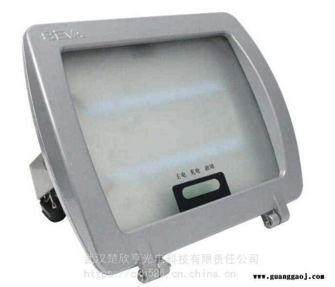 SW7211应急LED灯尚为节能应急LED泛光灯尚为SW7211-10W应急灯图1