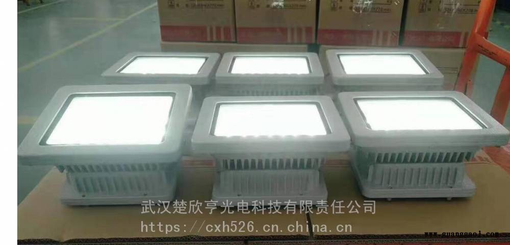 SW7211应急LED灯尚为节能应急LED泛光灯尚为SW7211-10W应急灯图3