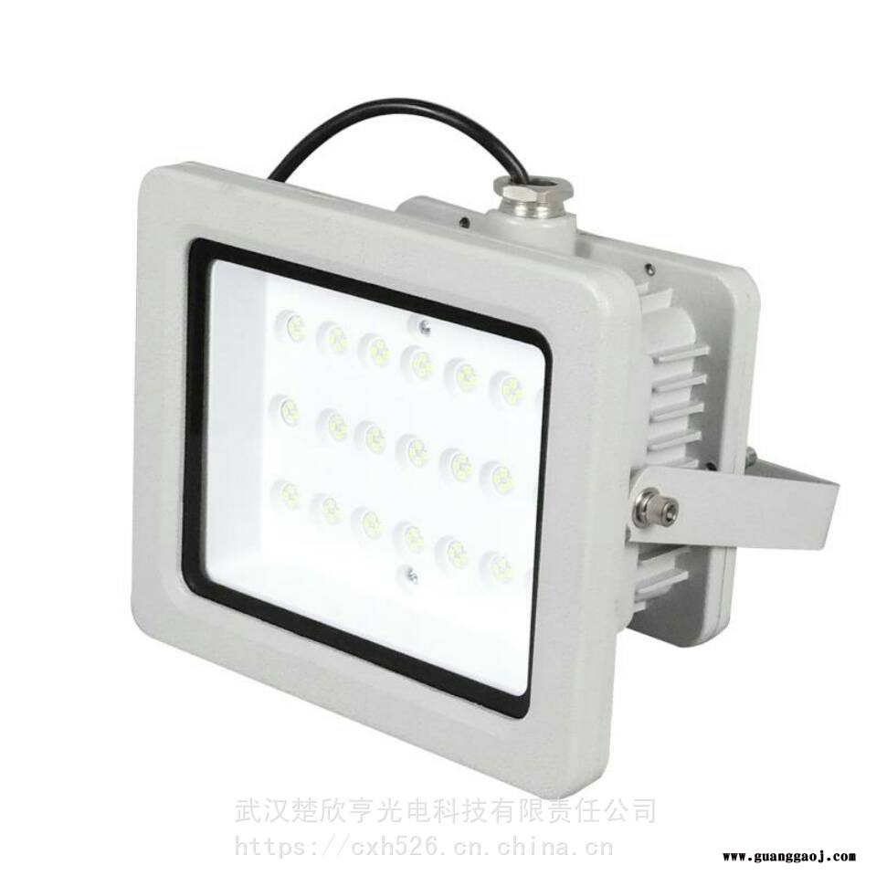 SW7211应急LED灯尚为节能应急LED泛光灯尚为SW7211-10W应急灯图2