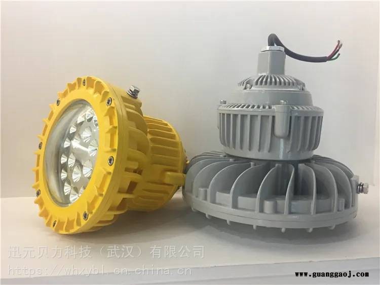 BLD202-100W钢铁吸顶式防爆泛光灯-BLD202-200W支架式油井防爆平台灯图3