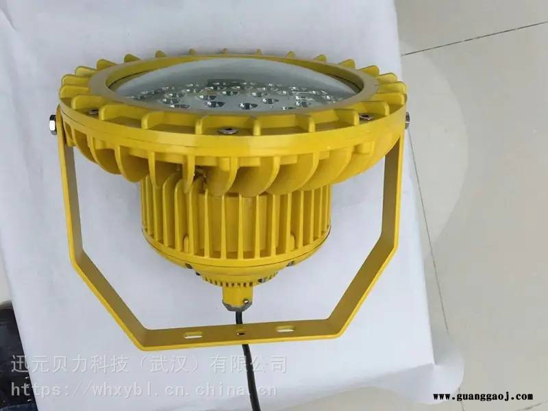 BLD202-100W钢铁吸顶式防爆泛光灯-BLD202-200W支架式油井防爆平台灯图1