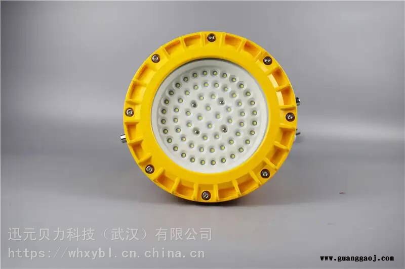 BLD202-100W钢铁吸顶式防爆泛光灯-BLD202-200W支架式油井防爆平台灯图2