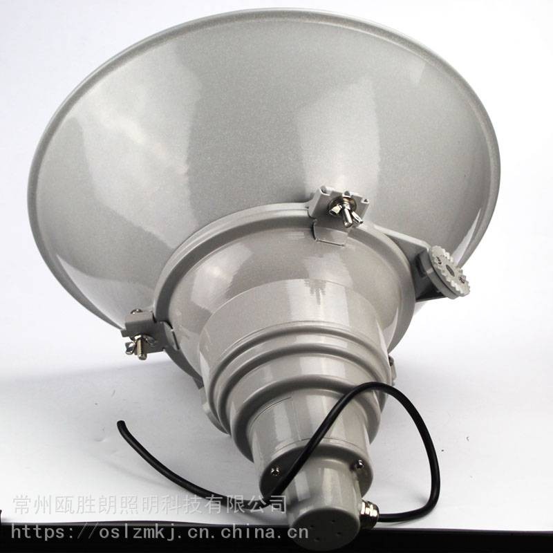 瓯胜朗NTC9200防震型超强投光灯大功率塔吊照明灯NTC9200J1000W图1