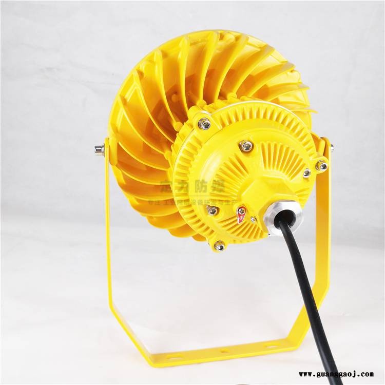 led防爆泛光灯加油站煤棚仓库厂房圆形方形LED防爆投光灯50w100w200w图2