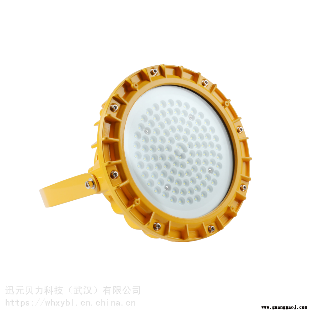 长寿LED核电厂100W防爆应急泛光灯-长寿LED核电厂150W防爆应急投光灯图2