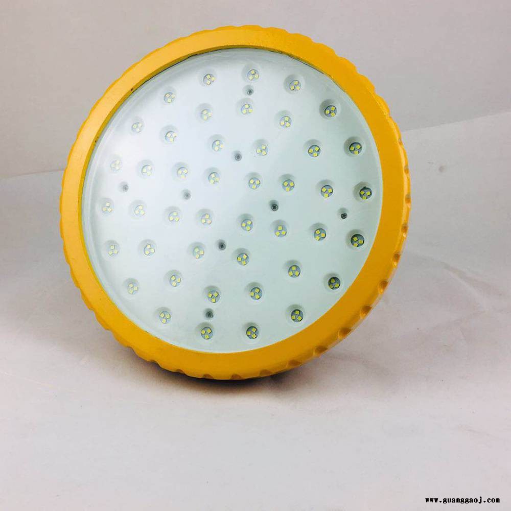 BPC8767防爆平台灯 LED防眩泛光灯30W 石油化工吸顶50W应急照明灯图3