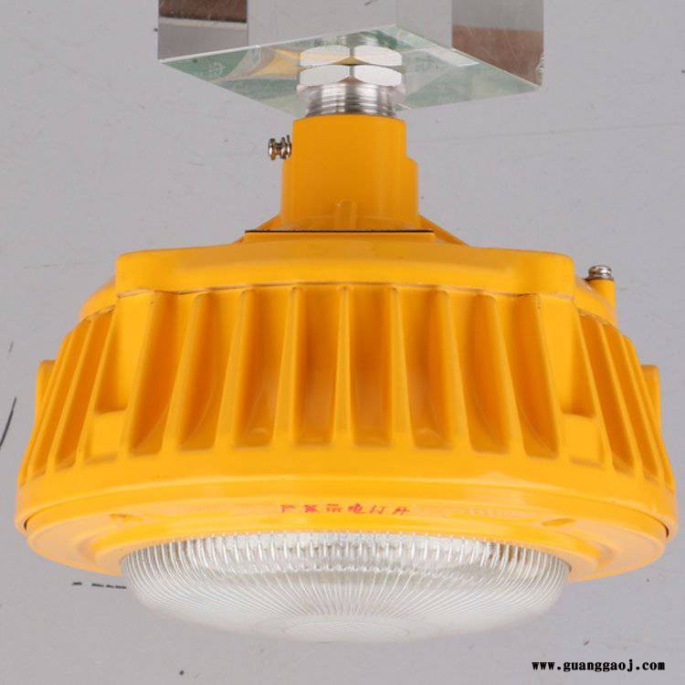 SZSW8136-50F防爆LED平台工作灯SZSW8136-50Q防眩泛光灯图2