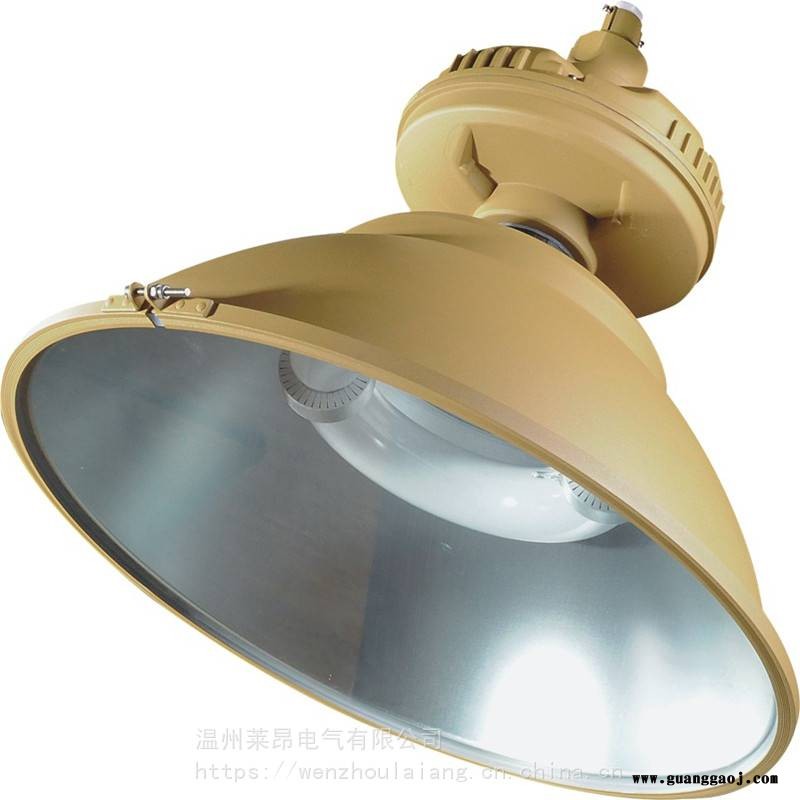 FGA1141FGA1141-QL免维护节能防爆泛光灯图3